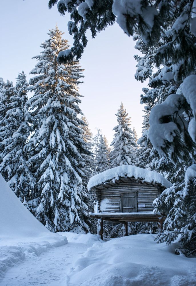 Photograph by Наталья Переверзева