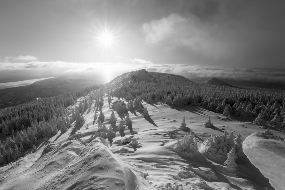 По склонам заснеженных гор.