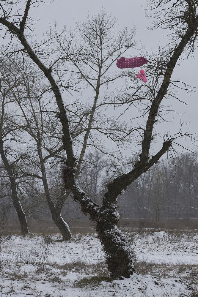 Photograph by Віталій Дячик