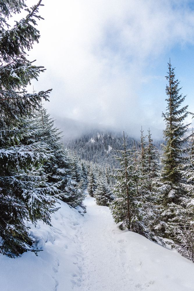 Photograph by Анатолий Кононов