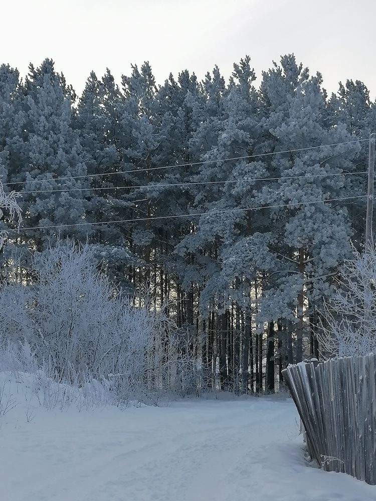 Photo #5738505