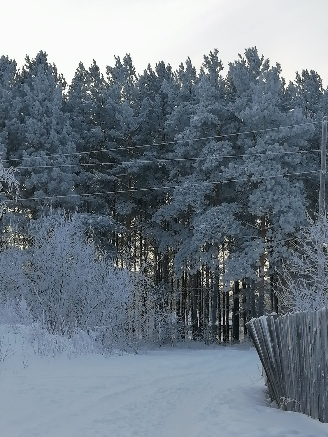 Photo #5738505