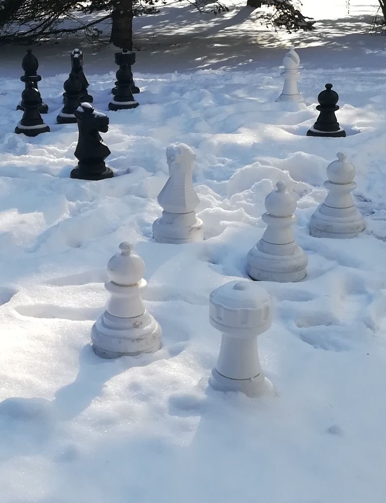 Photograph by Tomasz Aleksandrzak