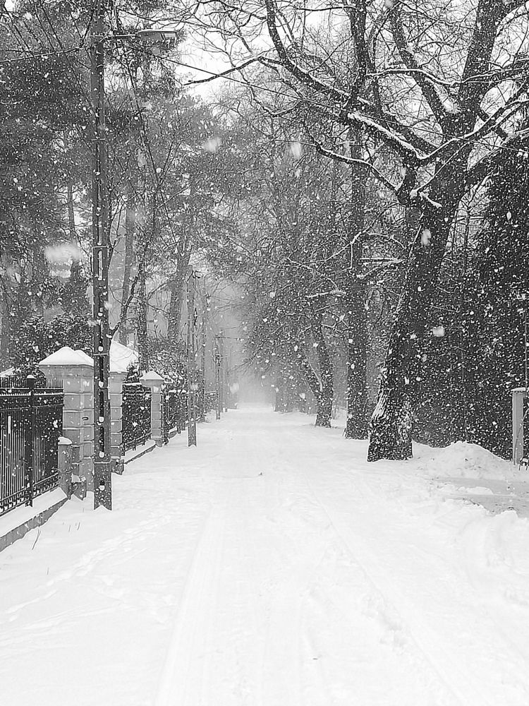 Photograph by Tomasz Aleksandrzak