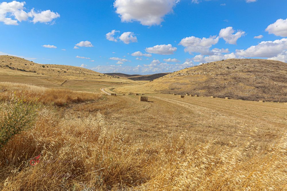 Photograph by Rafat romele