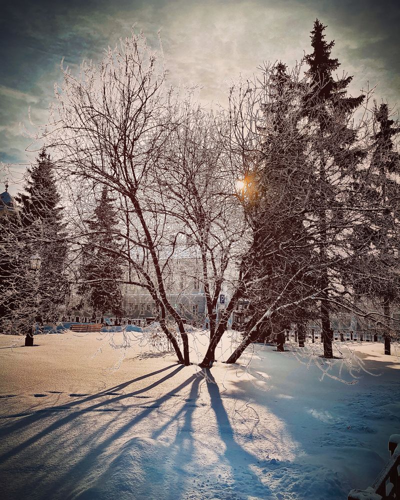 Фотография автора Ксения Абрамова