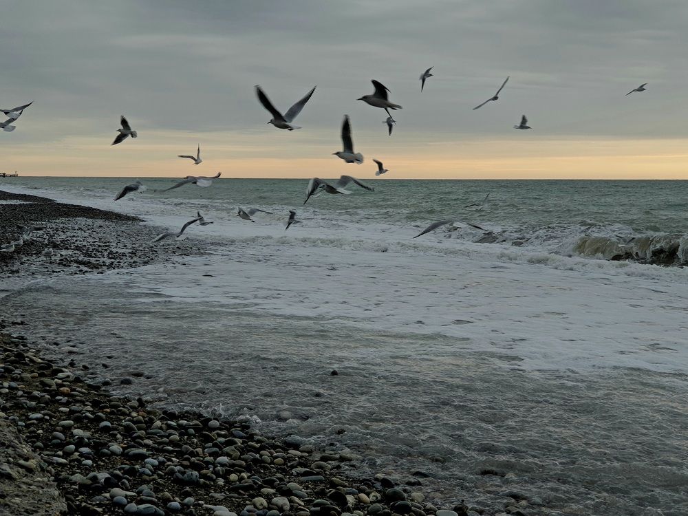 Photograph by Марина Гимеина