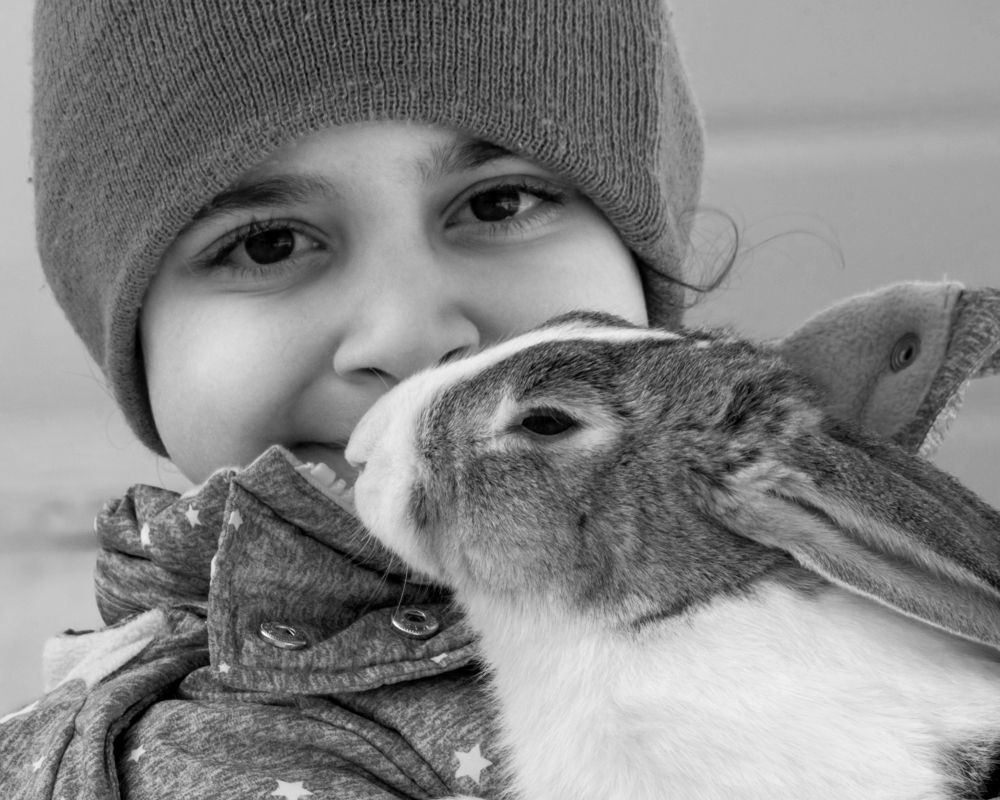 Photograph by Ali Abu Ras