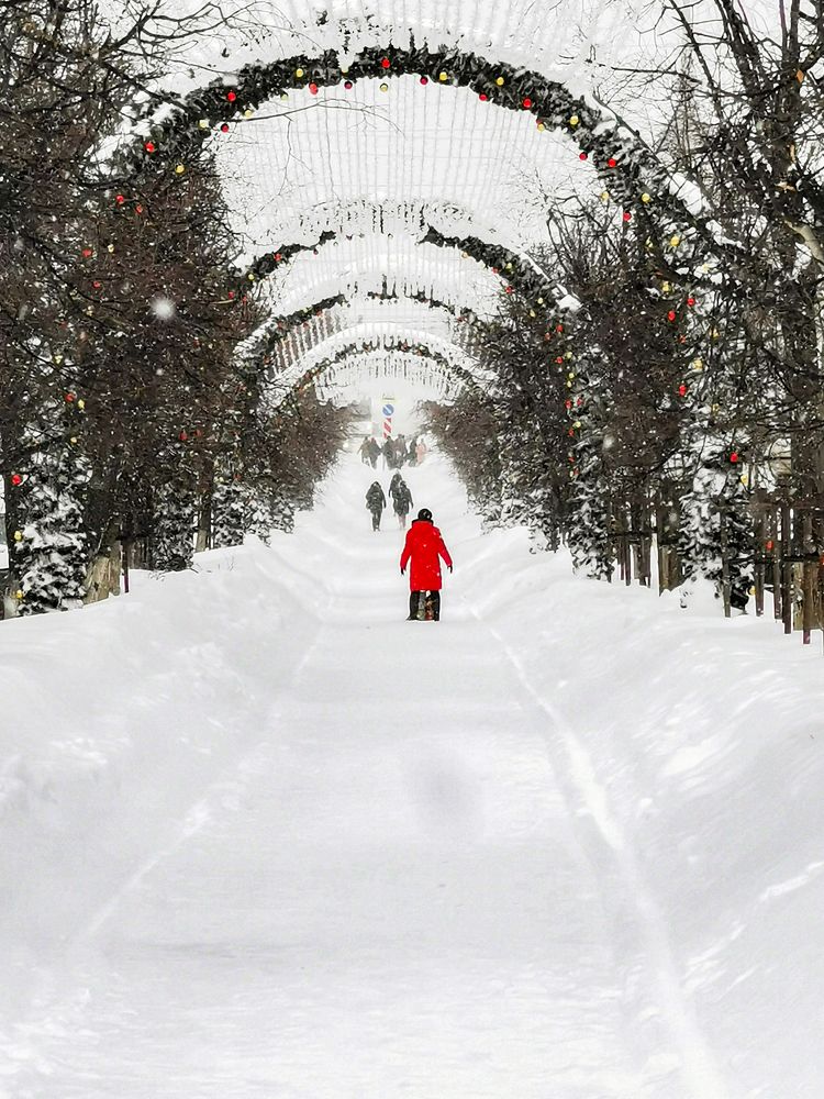 Photograph by Дмитрий Рассыльщиков