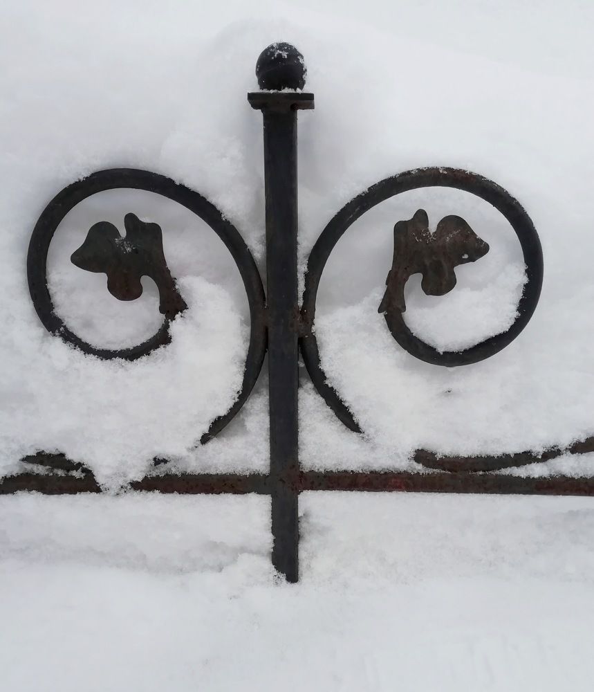 Ограда в старом парке