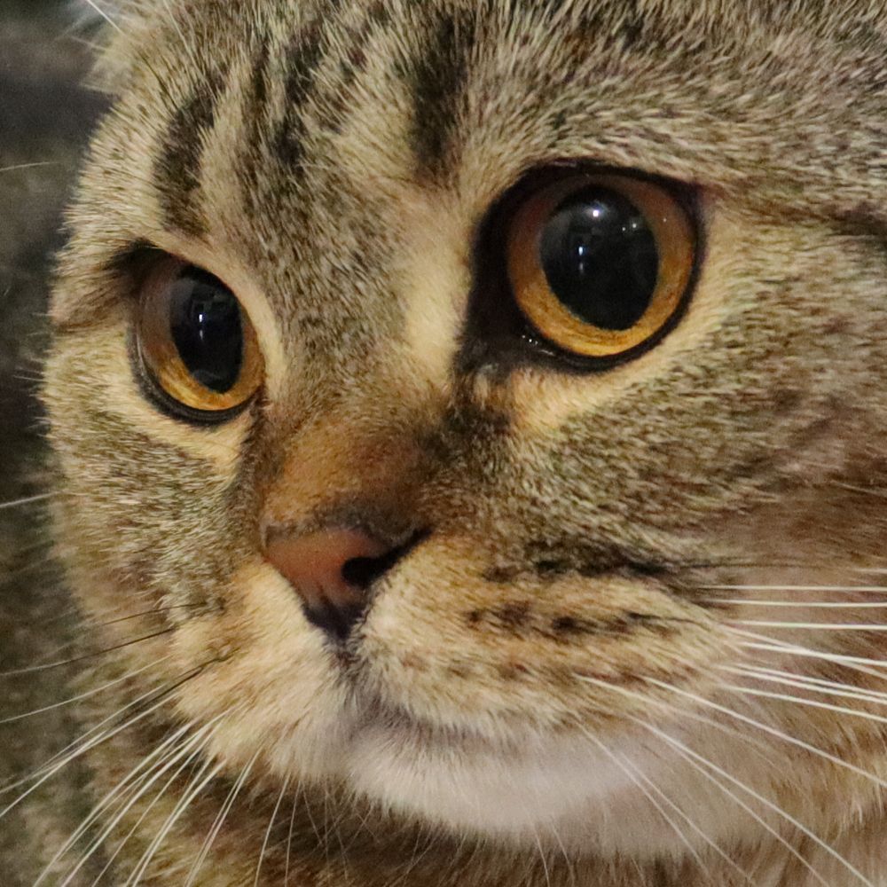 Photograph by Людмила Доброчеева