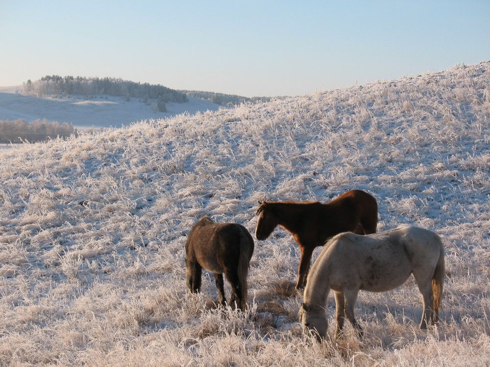 Photo #5738744