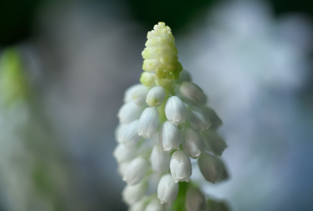 Photograph by Ольга Мендоса