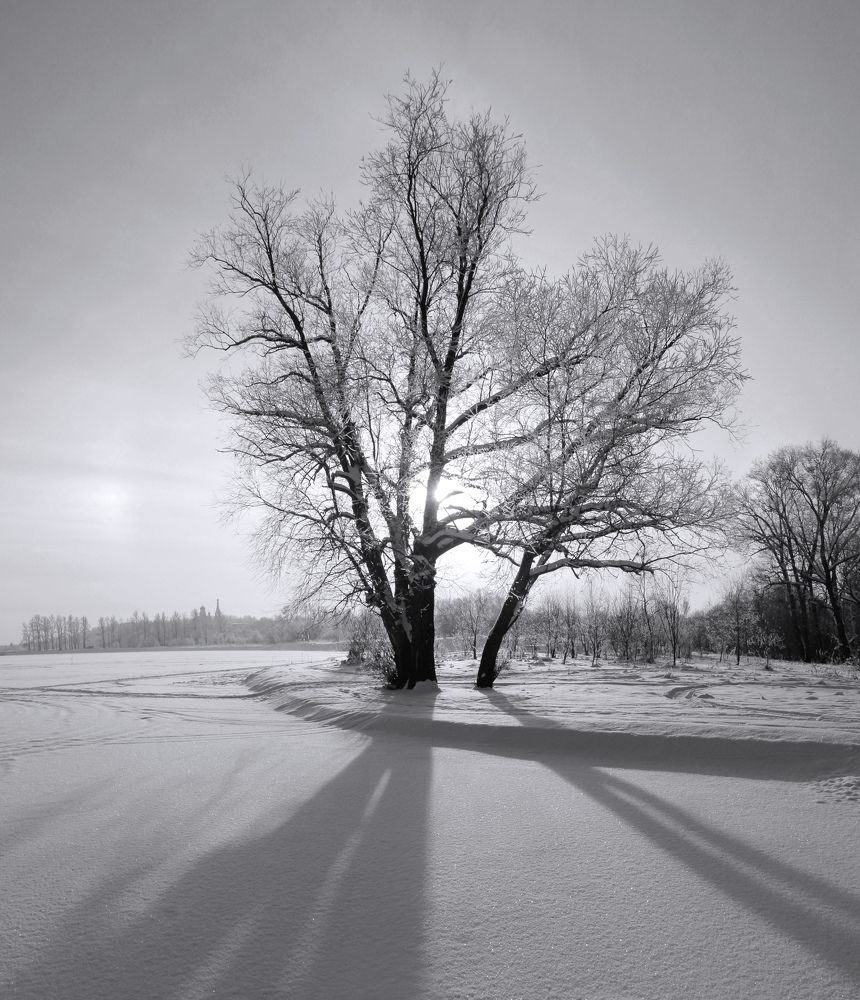 Photograph by 