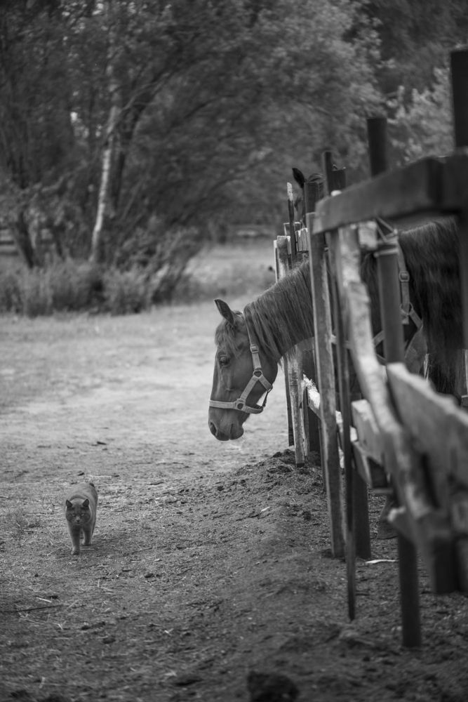 Фотография автора Виталий