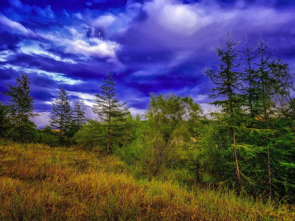 Photograph by Tatyana Romanova