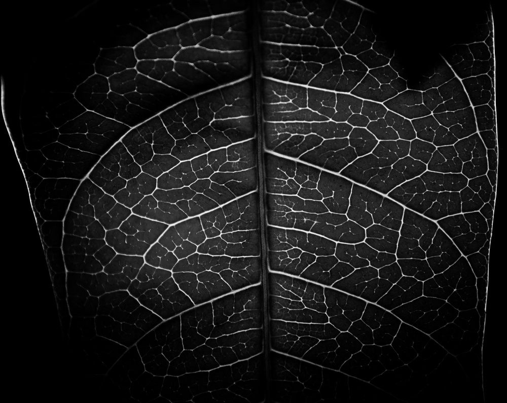 Photograph by Григорий Павлюк