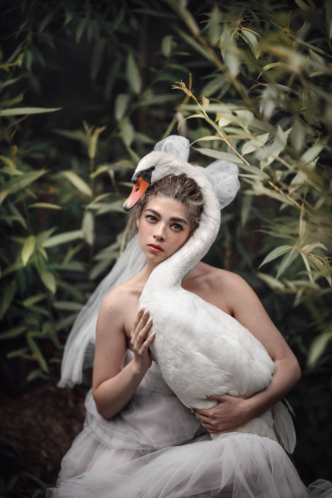 Photograph by Анастасия Добровольская