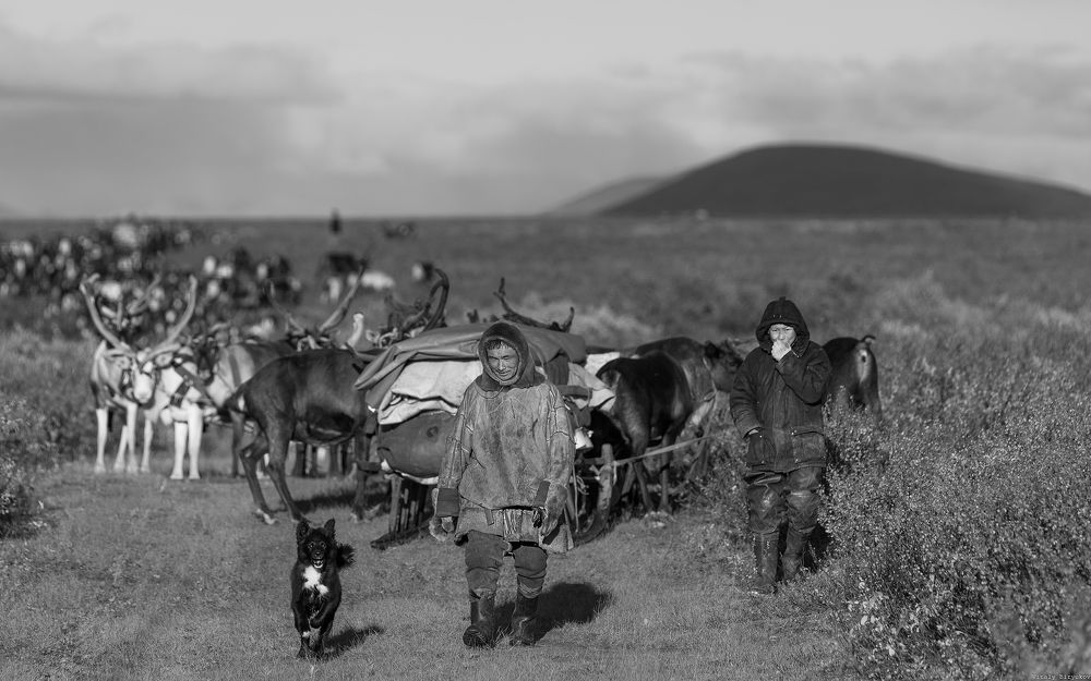 Фотография автора Виталий