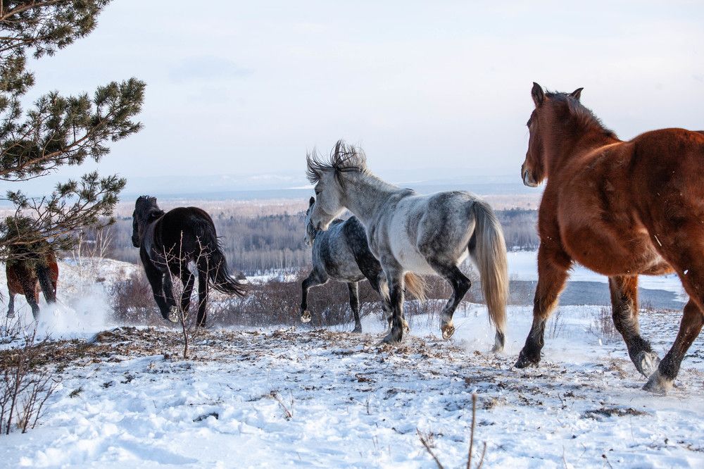 Photograph by Ольга Колмакова