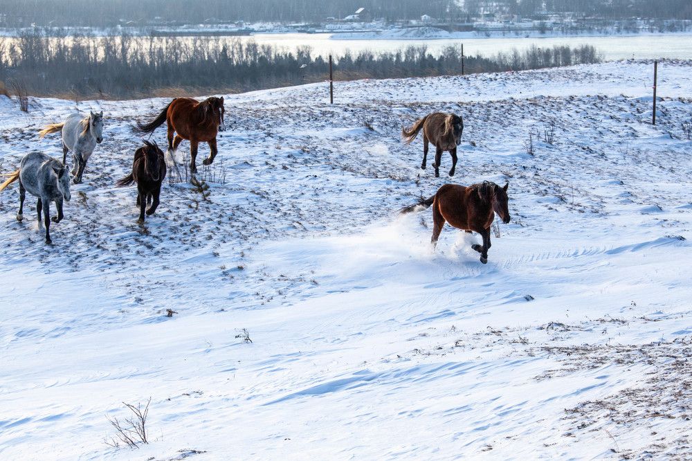 Photograph by Ольга Колмакова