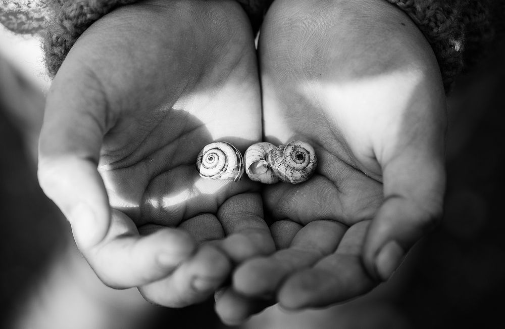 Фотография автора Виталий