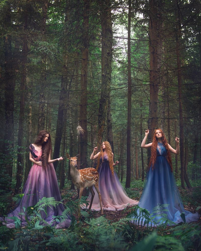 Photograph by Анастасия Добровольская