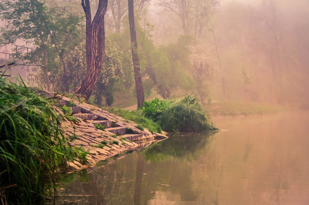 Photograph by Скай Лэсли