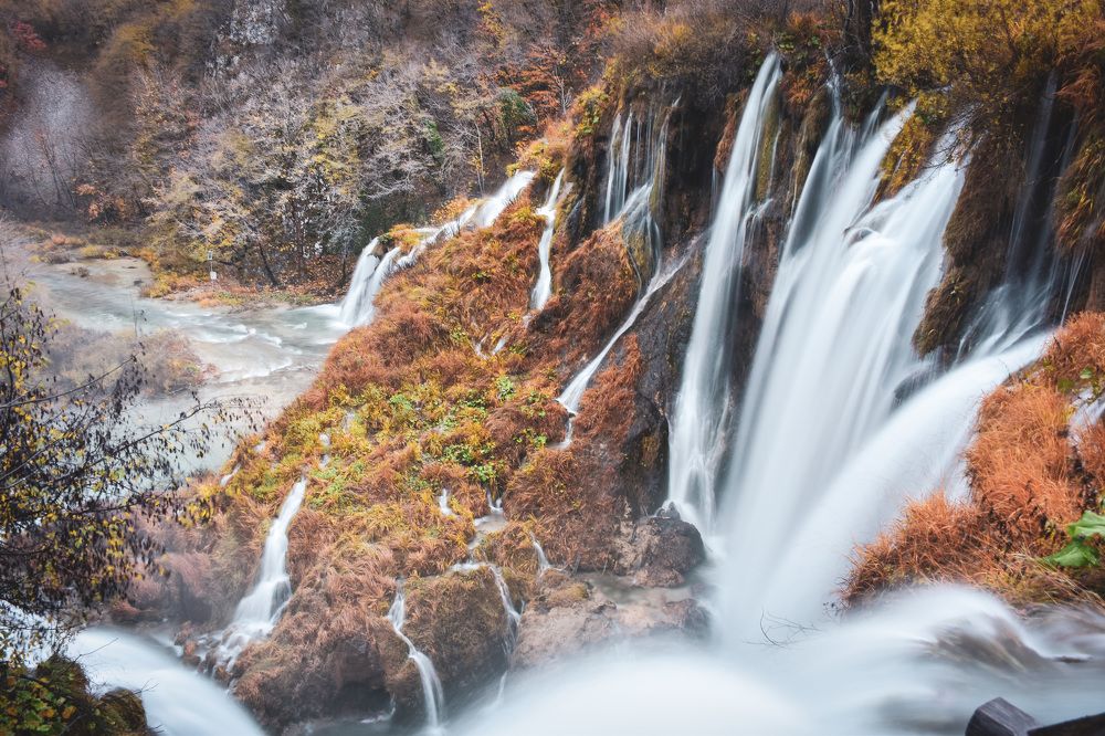 Photograph by Will Kwok