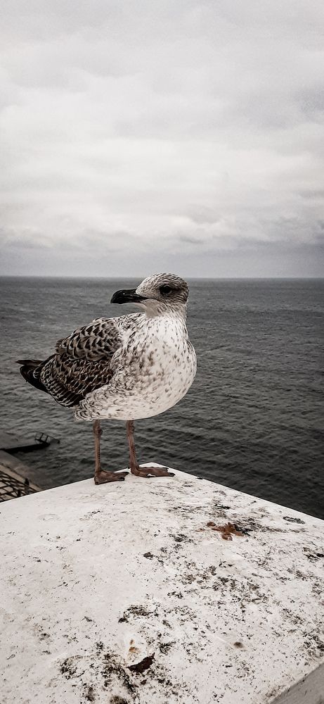 Photograph by Руслан Такушинов