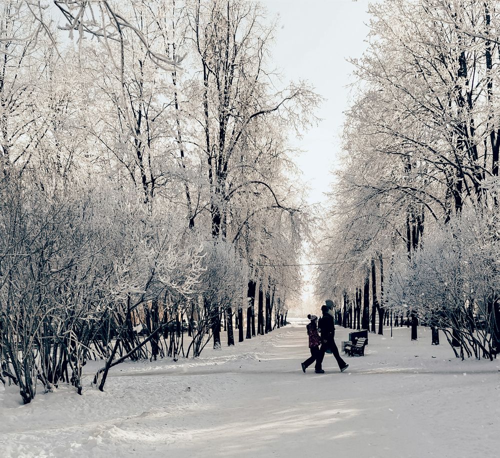 Photograph by Светлана Морева