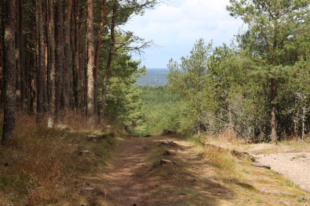 Photograph by Павел Левашов