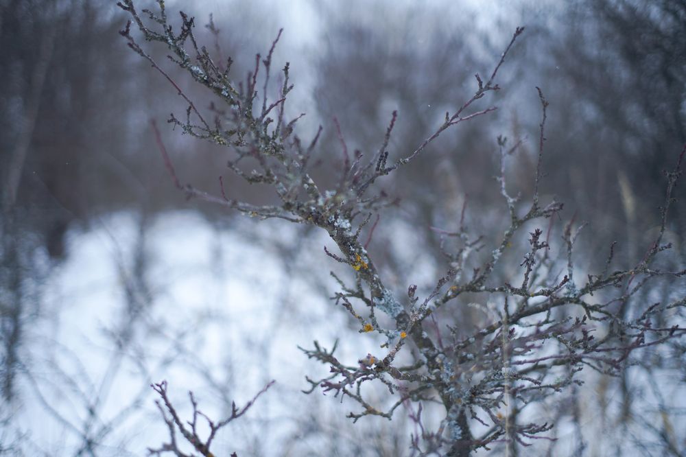 Photograph by Дмитрий Вербицкий