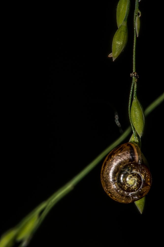 Photograph by Сергей Дикарев