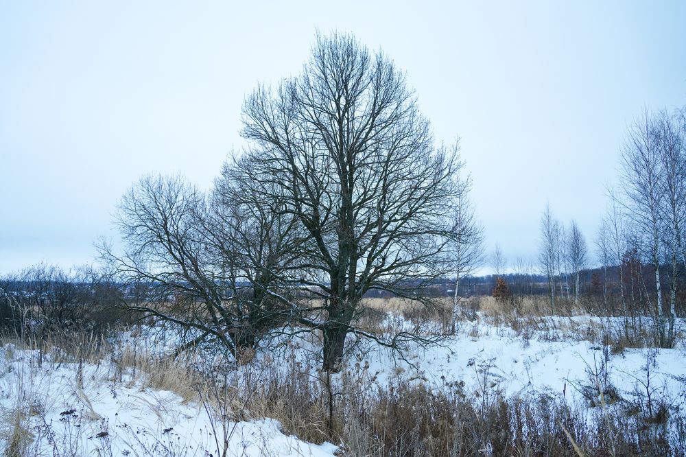 Photograph by Дмитрий Вербицкий
