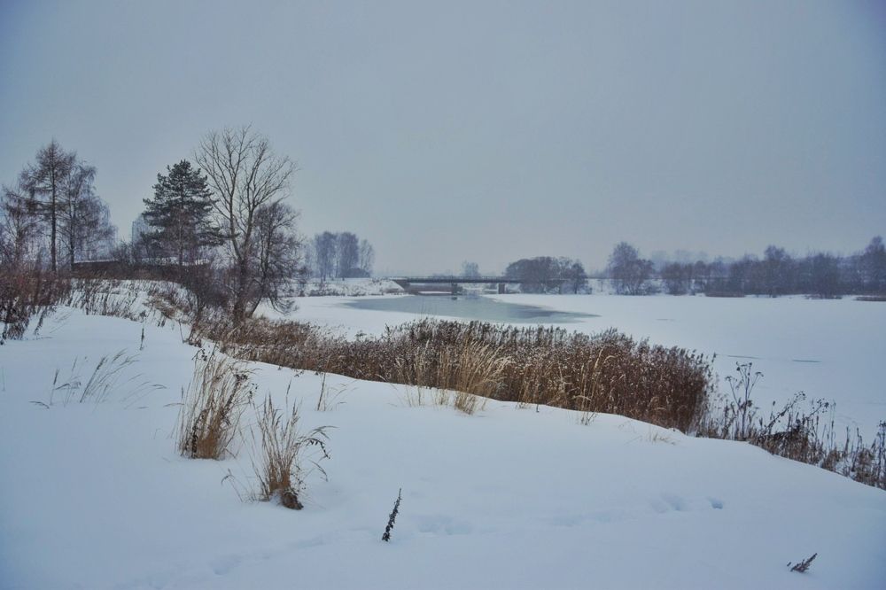 Photograph by Денис Смородин