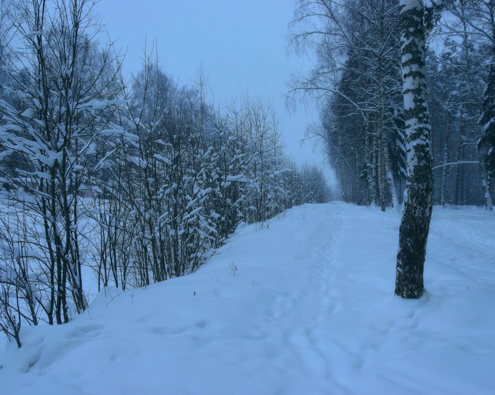 Photograph by Денис Смородин