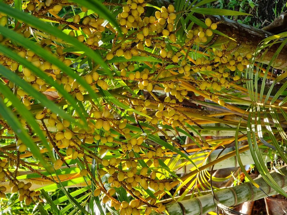 Фотография автора Nathlie Palmer