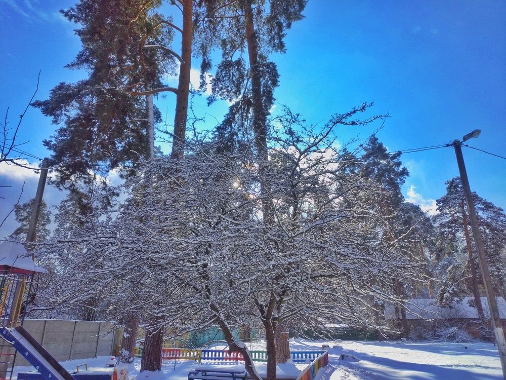 Photograph by Олег Ниделков