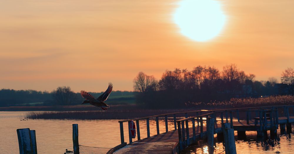 On the way through the picture