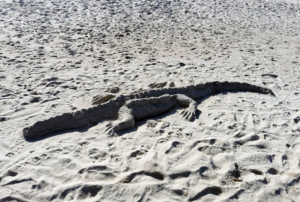 Photograph by Павел Левашов