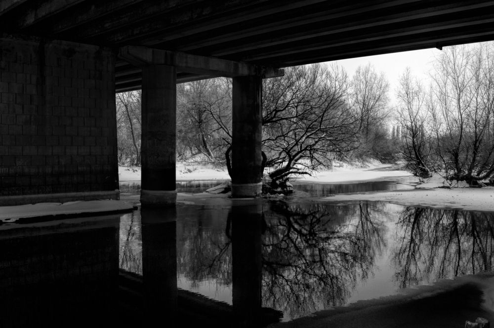 Photograph by Volkoff Mark