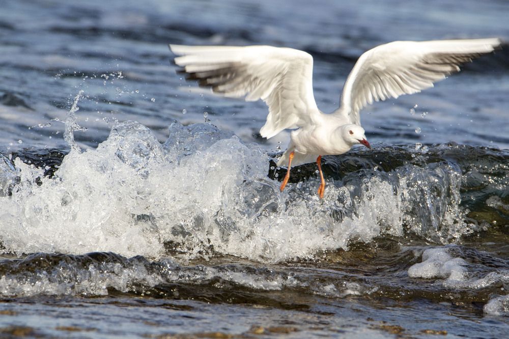 Photograph by Валентина Лопаткина
