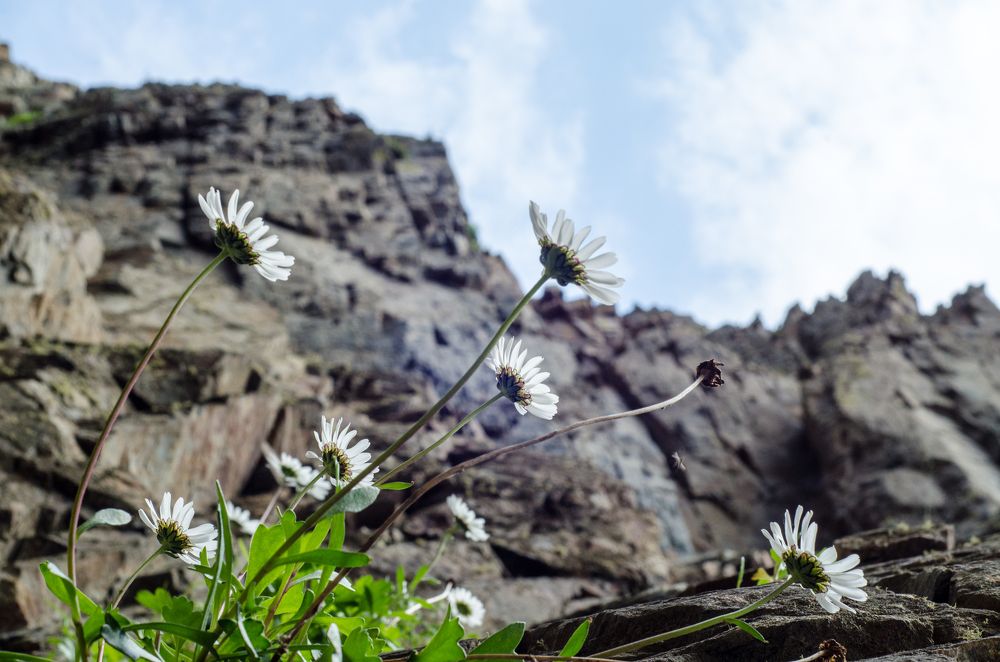 Photograph by Галина Проценко