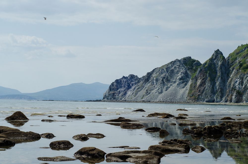 Photograph by Галина Проценко