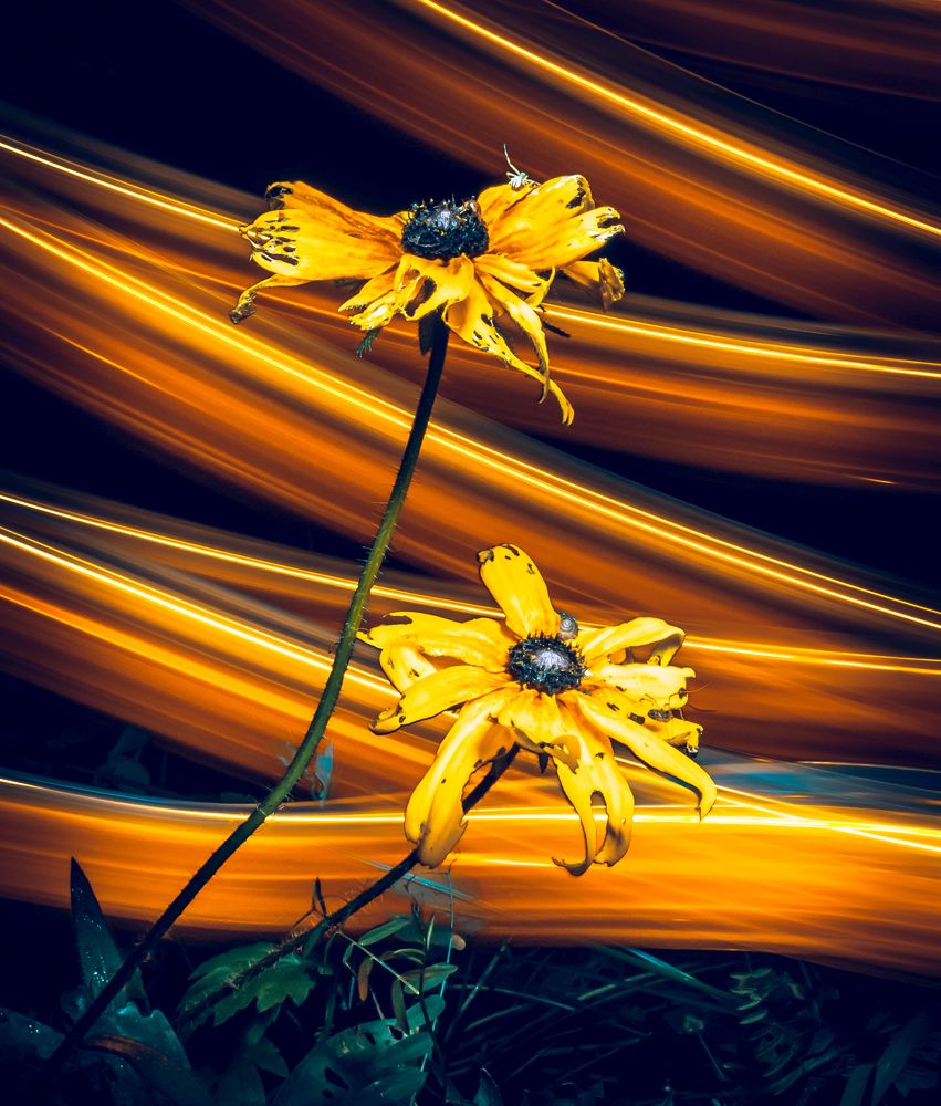 Photograph by Николай Требухин