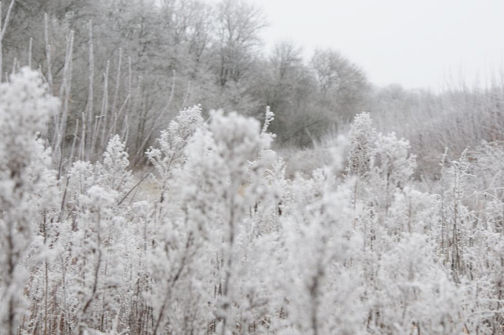 Photograph by Татьяна Маринич