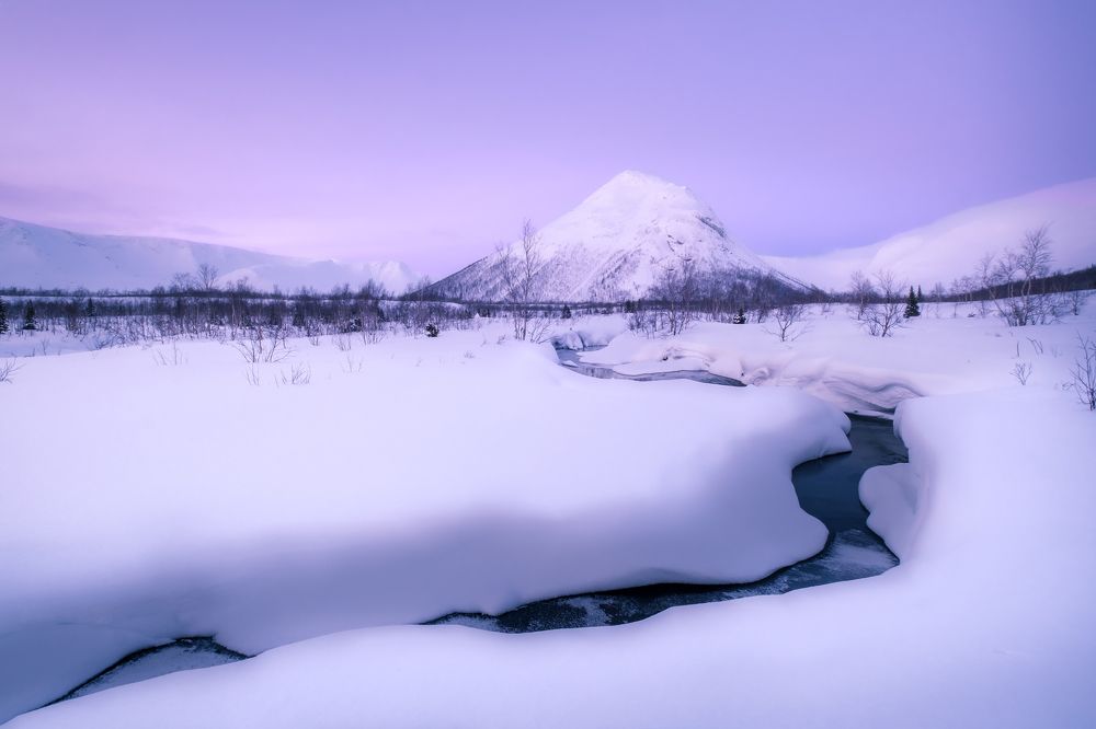 Photograph by Игорь Копытов