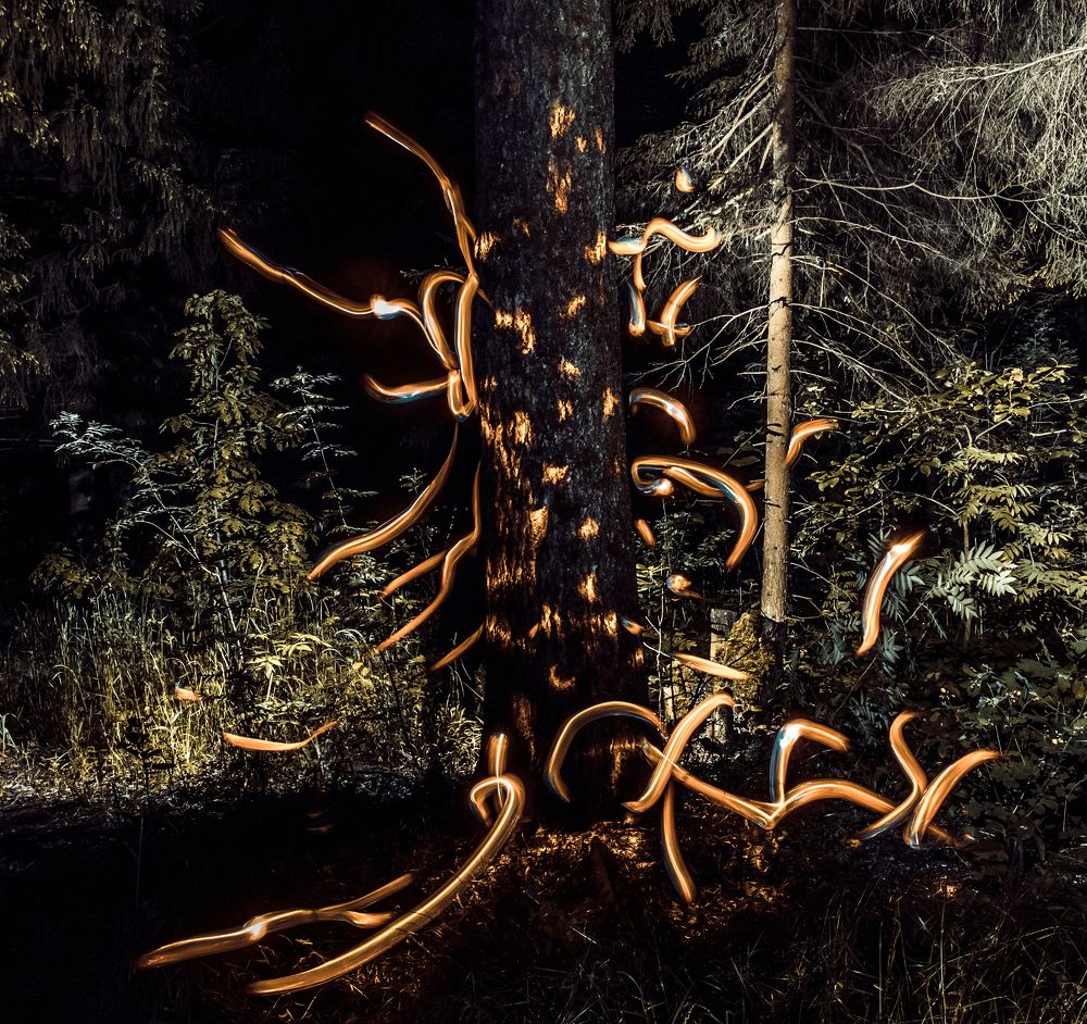 Photograph by Николай Требухин