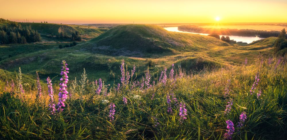 Photograph by Игорь Копытов